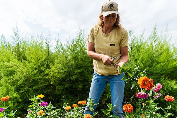 Katie Rose standing in front of green field trimming pink Zinnea’s