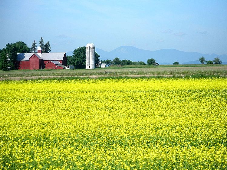 CLT Charlotte Land Trust, Vermont